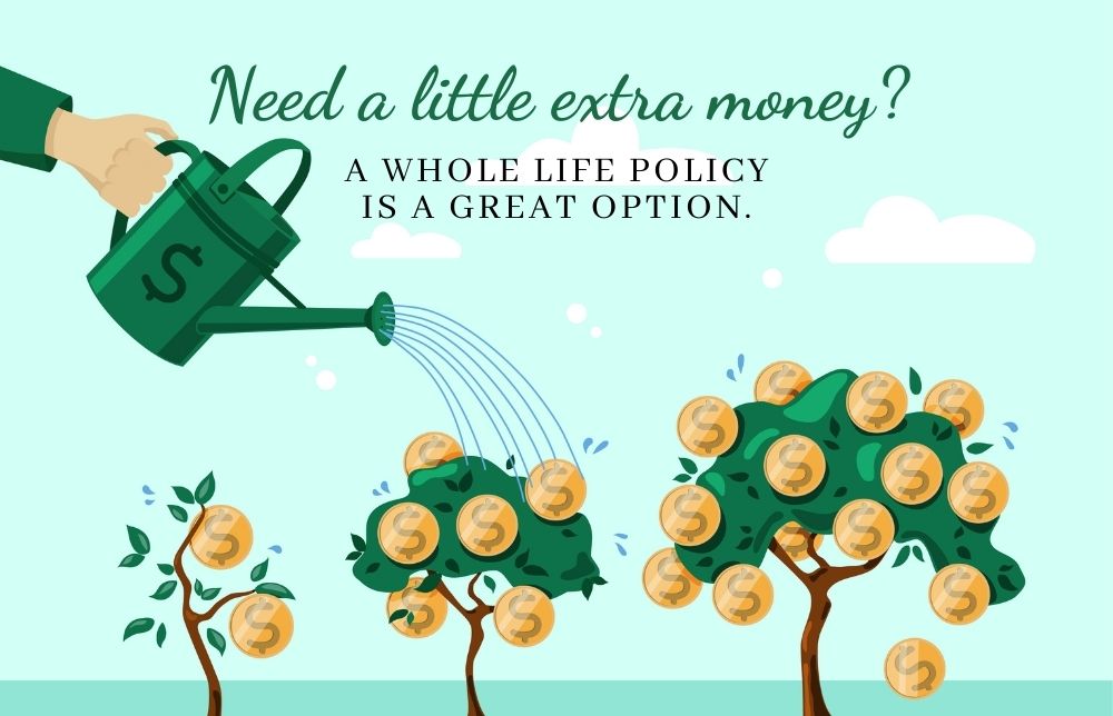 Need A Little Extra Money? A Whole Life Policy Is A Great Option Image